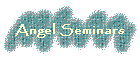 Angel Seminars